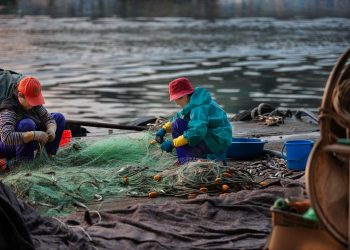 Висококачествени Риболовни Принадлежности
